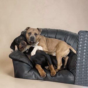Arnie and Atos