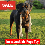 best rope toy for dogs